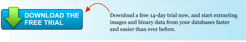 Download a free 14-day trial now, and start extracting images and binary data from your databases faster and easier than ever before. DOWNLOAD THE FREE TRIAL